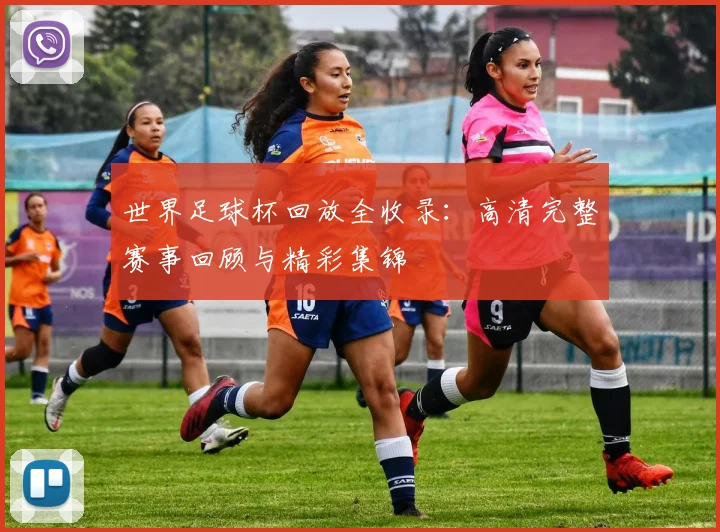 世界足球杯回放全收录：高清完整赛事回顾与精彩集锦